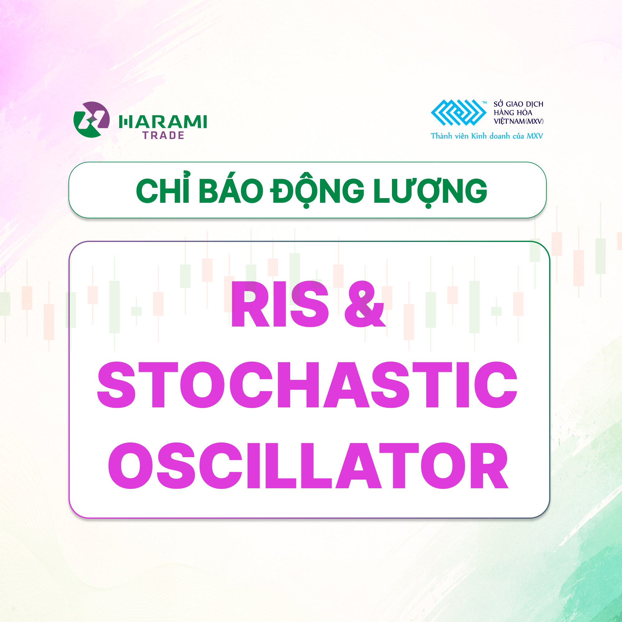 Bắt nhịp thị trường: Khai thác sức mạnh của chỉ báo động lượng